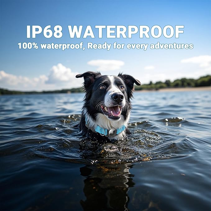 IP68 Waterproof AirTag Dog Collar – Heavy Duty Reflective Padded Design with Integrated AirTag Holder for Small, Medium & Large Dogs – Comfortable & Durable, Size M (12.6"-17.1"), Blue