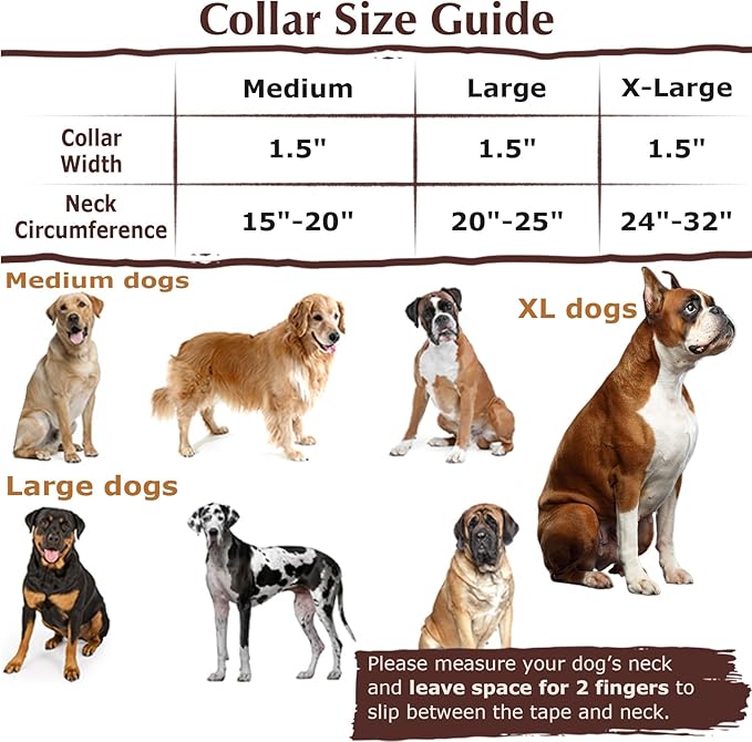 1.5 Inches Martingale Collar for Dogs,Adjustable Heavy Duty Training Collars with Blue African Tribal Mexican Native Boho Pattern, No Slip Dog Collar Perfect for Training, Walking, Hunting(XL)