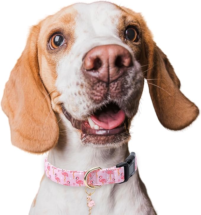 Cotton Dog Collar,Adjustable Cute Puppy Collar with Moon Patterned Design for Small Medium Large Dogs,Soft and Fancy Pet Collar with Safety Buckle for Girl Boy Dogs (Pink Flamingo, S)