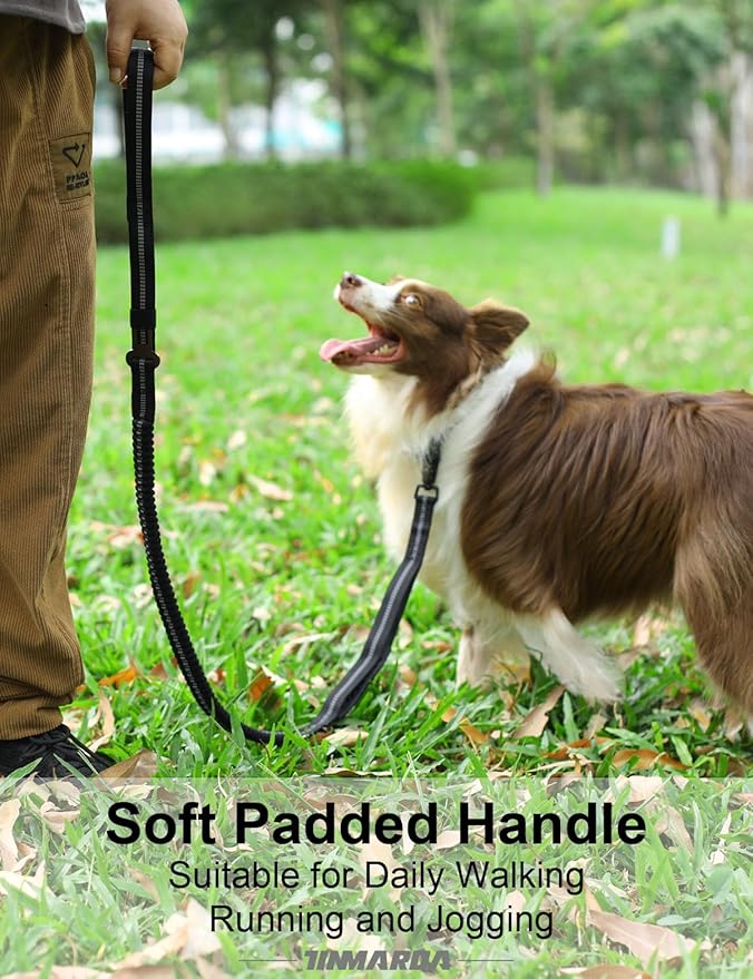 Heavy Duty Dog Leash, 4-6FT Shock Absorbing Dog Leashes with Traffic Handle and Comfortable Padded Handles, Advanced Easy Metal Clip, No Pull Reflective Leash for Medium Large Dogs That Pull (Black)