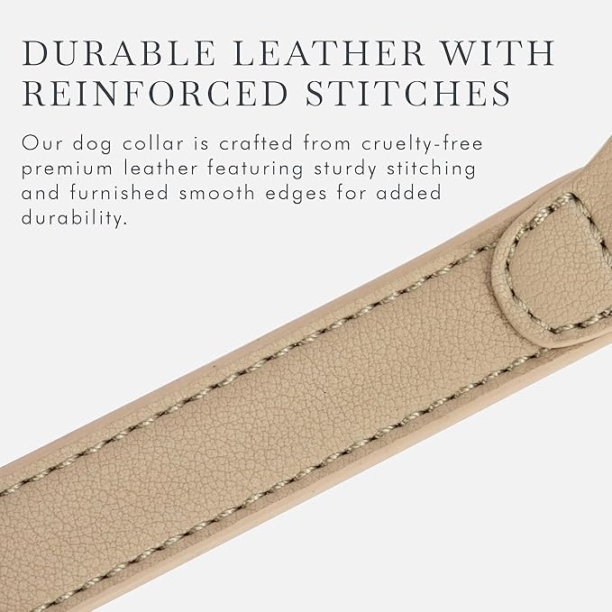 Cupertino Dog Collars, Harnesses & Leashes Made from Vegan Leather with Dog Tracker Device Holder Adjustable Dog Collar - Color Beige, Large