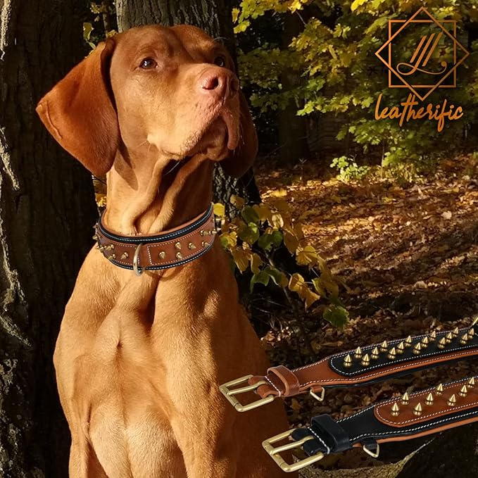 Genuine Leather Dog Collar by Leatherific, Premium Bridle Leather, Heavy Duty, Padded, Strong, Screwed Spikes, Medium, Large, Extra Large Breeds, 2" Wide (Charcoal, Neck Size 14"-18")