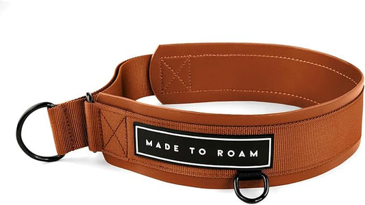 MADE TO ROAM Premium Everyday Dog Collar - Martingale Style No Pull Vegan Leather Collar, Heavy Duty and Lightweight for Small, Medium, Large Dogs (Nevada Evening, Size 2)