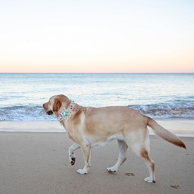 Elegant little tail Dog Collar, Dog Collar with Flower Boy Girl Pet Collar Flowers Soft Durable Dog Flower Collar for Medium Dogs