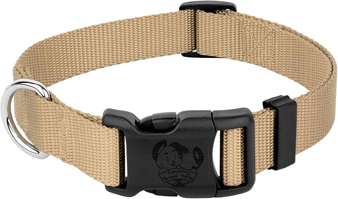 Country Brook Petz - American-Made Dog Collar for Large, Medium, and Small Dogs and Puppies - Deluxe Heavy Duty Nylon in 33 Dazzling Colors (Large, 1 Inch Wide, Copper Gold)