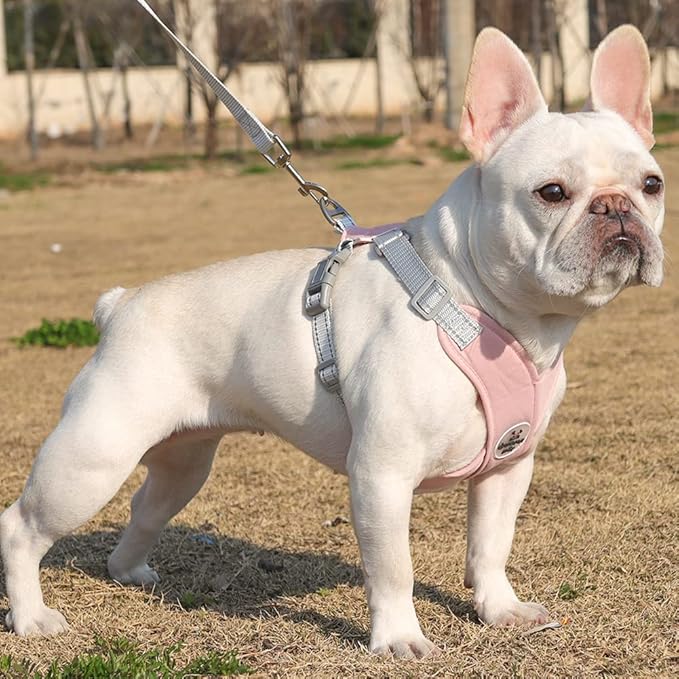 FEimaX Dog Harness Pet X Frame No Pull Step-in Harnesses with Leash Set, Adjustable Reflective Choke Free Puppy with Padded Vest for Small, Medium Dogs and Cats Walking Training