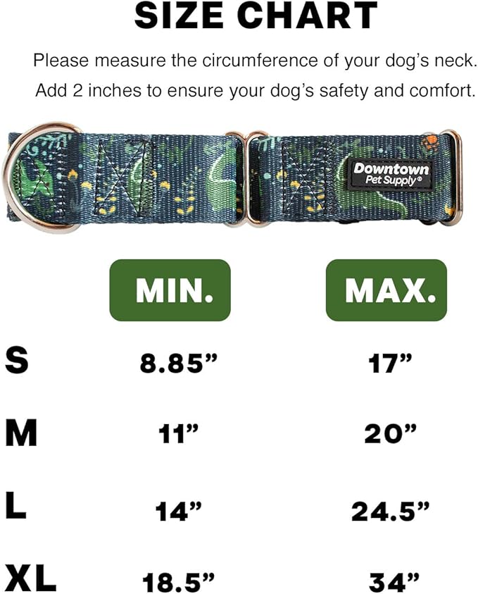 Downtown Pet Supply - Martingale Collar for Dogs - Dog Training Collar - Big, Wide & Thick Dog Collar - Escape-Proof, Weatherproof, Durable and Comfortable - Dino - Small Dog Collar