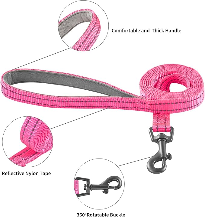 Dog Harness and Leash Set, No Pull Soft Mesh Pet Harness for Small Medium Dogs, Cats - Step in Adjustable Reflective Puppy Harness with Buckle and Double D-Rings - Red, XXS