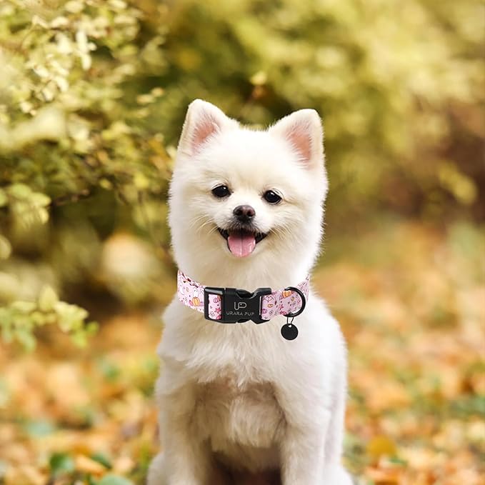 Halloween Dog Collar,Lightweight Pink Halloween Puppy Collar with Plastic Buckle,Fancy for Dogs,Suitable for Small Medium Large Girl or Boy Dogs