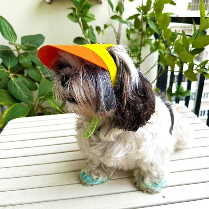 Yellow-Orange Baseball Cap for Dogs (Large)