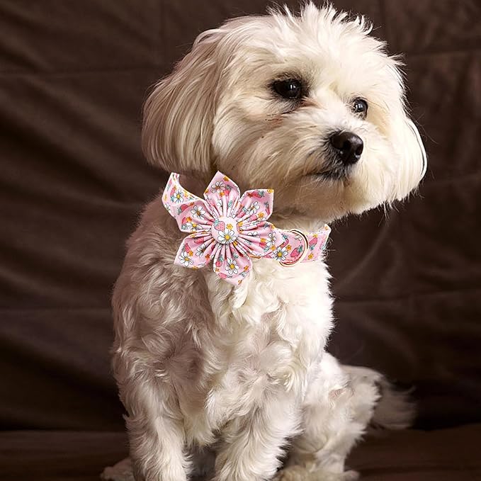 Lionheart glory Dog Collar Flower Collar Pink Dog Collar with Flower Spring Summer Cute Collar Dog Female Soft Durable Adjustable Dog Collars for Small Dogs, B:Strawberries