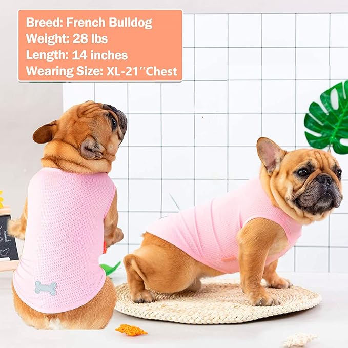 KYEESE 2 Pack Dog Shirts Quick Dry Lightweight Dog T-Shirts with Reflective Label Tank Top Sleeveless Vest Cat Shirts for Summer Lemon Pattern Sun-Blocking,Small,Lemon+Pink