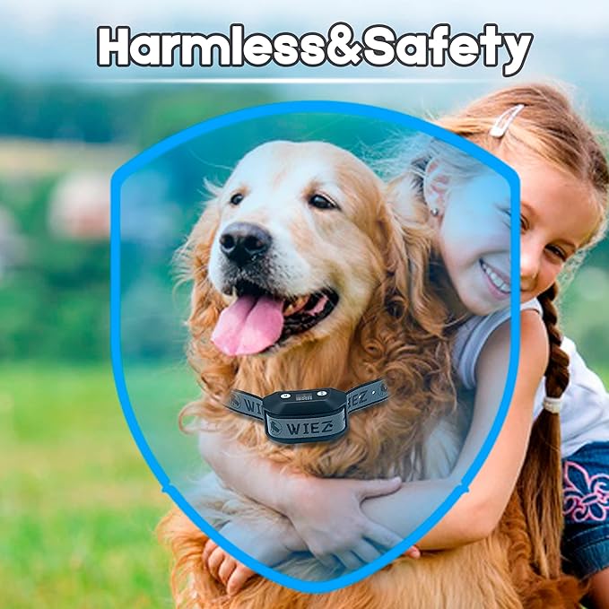 WIEZ GPS Wireless Dog Fence, Electric Dog Fence for Outdoor, Range 65-3281ft, Adjustable Warning Strength, Rechargeable, Pet Containment System, Harmless and Suitable for Most of Dogs(2 Collars)