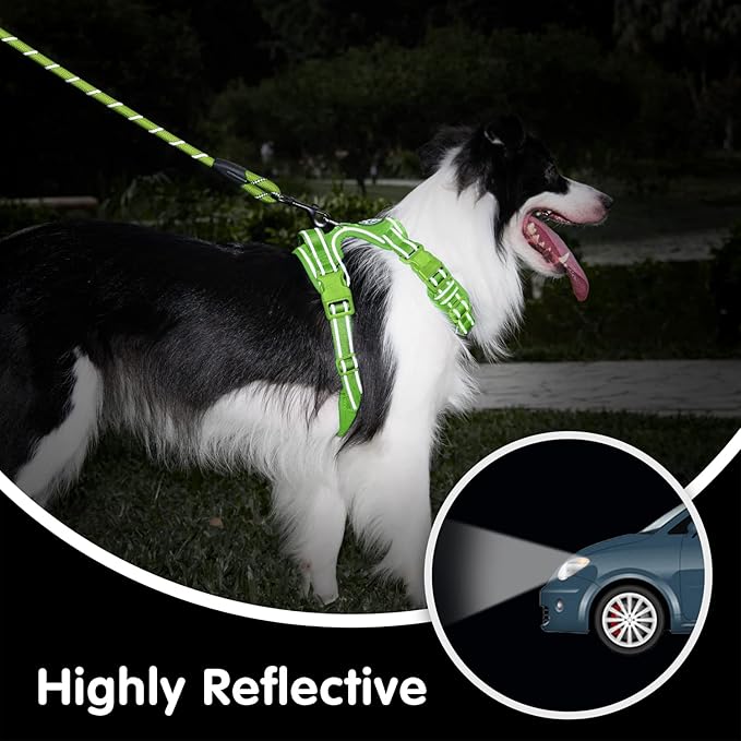 PoyPet No Pull Dog Harness and 5 Feet Leash Set, Release on Neck Reflective Adjustable Pet Vest, Front & Back 2 D-Ring and Soft Padded Pet Harness with Handle for Small to Large Dogs(Green,XL)