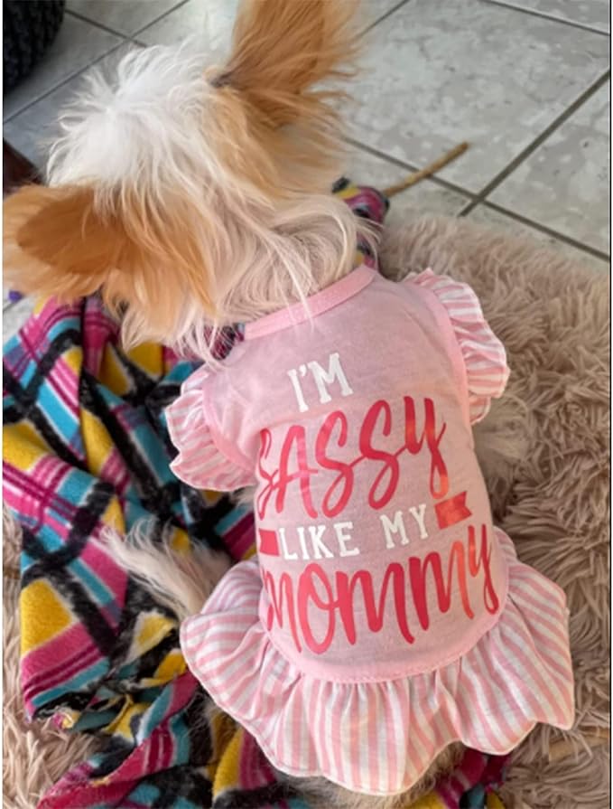 XPUDAC 4 Pieces Pet Dog Dress Dog Clothes Girl Puppy Shirt Yorkie Clothes Cute Doggie Dress Pet Apparel for Small Dogs and Cats (Pink Angel, Small(4.5-8lbs))