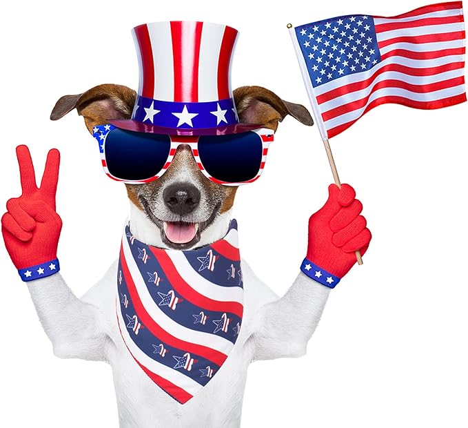 PTDECOR American US Flag Dog Bandana 4th of July Dog Bandanas Reversible Triangle Bibs Scarf for Medium and Large Dogs (Style 2, Large)