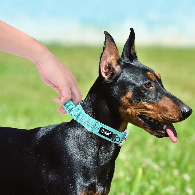 PUPTECK Heavy Duty Dog Collar with Handle Bungee for Small Medium Large Dogs, Tactical Dog Training Collar for Easy Control, Reflective Padded Dog Collars for Walking Running, Turquoise, M