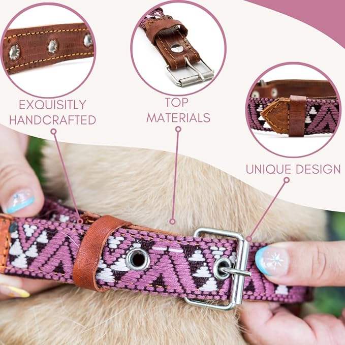 Western Dog Collar - Leather Embroidered Design for Small Medium Large Dogs & Puppy Pets - Aztec Southwest for Boy Girl Female & Male Dogs - Collar para Perros Beaded (Large, Carissma)