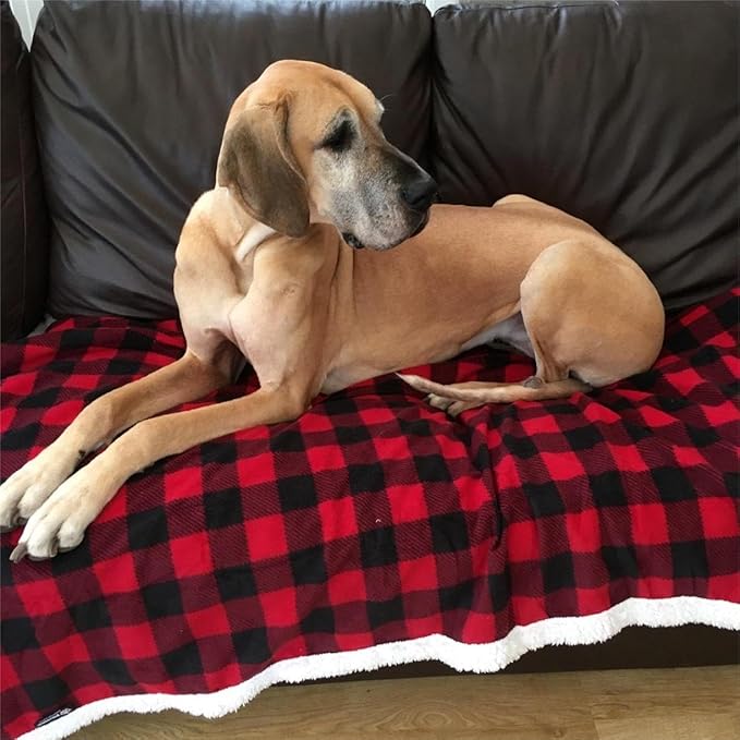 Kritter Planet Waterproof Dog Blanket, Reversible Pee Proof Couch Cover for Pets, Furniture Protector for Sofa Bed, Washable, Hair Resistant, Stain Proof