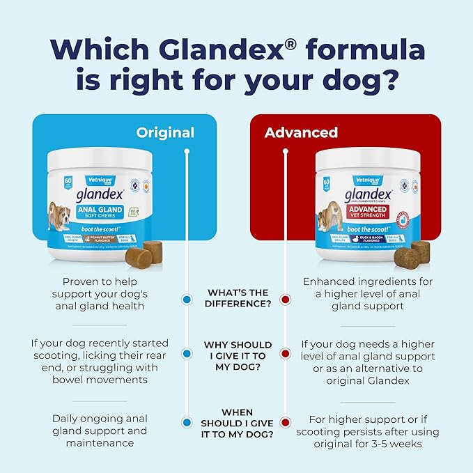 Vetnique Glandex Anal Gland Soft Chew Treats with Pumpkin for Dogs Digestive Enzymes, Probiotics Fiber Supplement for Dogs Boot The Scoot (Advanced Strength Duck/Bacon Chews (Vegetarian), 120 Ct)