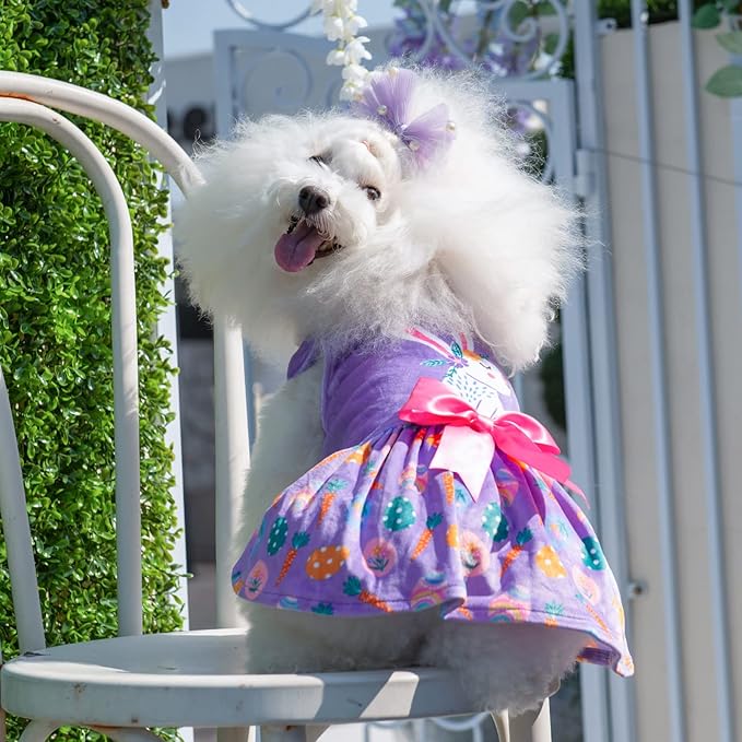 CuteBone White Rabbit Dog Easter Dress Velvet for Small Dogs Girl Eggs Skirt Puppy Purple Dresses Dog Clothes CVA19L-D