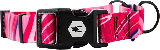 Wolfgang Heavy Duty Martingale Dog Collar with Quick Release Nylon Buckle for Walking & Training, MarbleSwirl Print, X-Large
