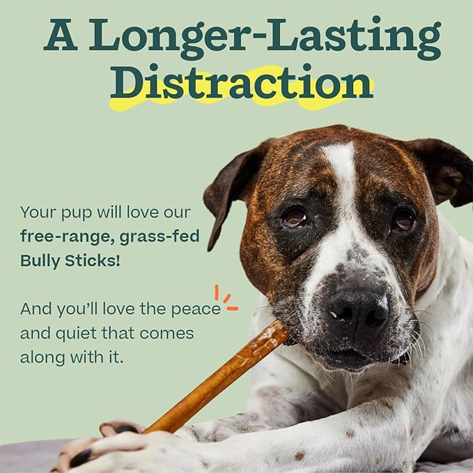 WOOF Bully Sticks Dog Treats - Chew Sticks for Dogs - Long-Lasting Dog Chew Treats - Dog Products Made with Free-Range, Grass-Fed Beef - 6" Sticks - 25pk