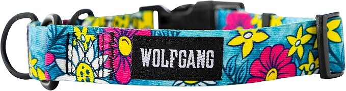 Wolfgang Heavy Duty Martingale Dog Collar with Quick Release Nylon Buckle for Walking & Training, LazyDaisy Print, Large