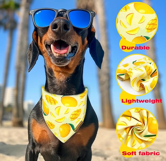 Summer Fruit Dog Bandanas 2 Pack 4 Pattern Reversible, Holiday Bandana for Boy and Girl, Premium Durable Fabric, Party Triangle Scarf for Medium to Large Breed Dogs (Large)