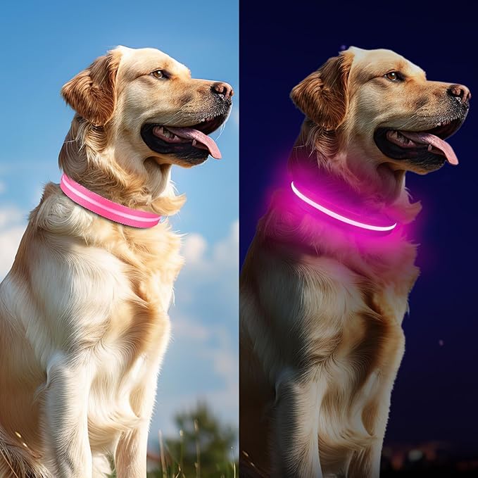 Led Dog Collar for Night Walking,Rechargeable Light Up Dog Collar Led Color,Glow in The Dark Dog Collars Waterproof for Small Medium Large Dogs (Pink, Medium)
