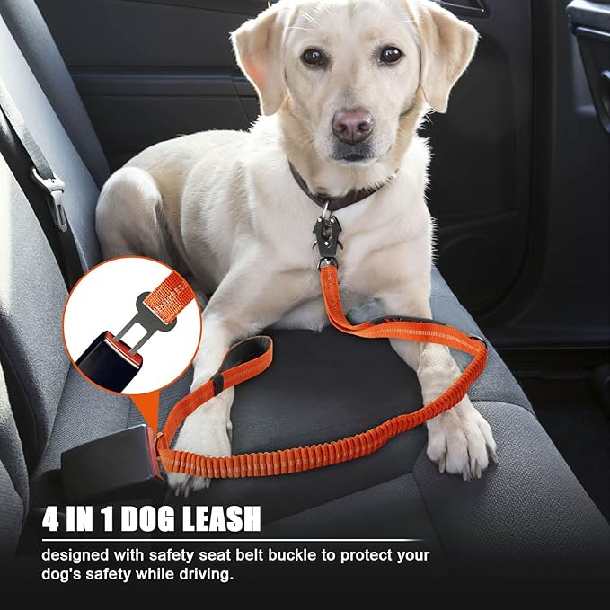 Raipult Heavy Duty Frog Clip Dog Leash, 4-6FT Strong Bungee Training Leash with 2 Handles, Highly Reflective Shock Absorbing Elastic Leashes with Car Seatbelt for Medium Large Dogs,Orange