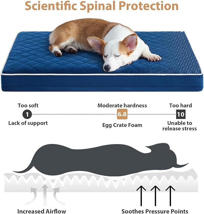 WNPETHOME Orthopedic Dog Beds for Large Dogs, Extra Large Waterproof Dog Bed with Removable Washable Cover & Anti-Slip Bottom, Egg Crate Foam Pet Bed Mat