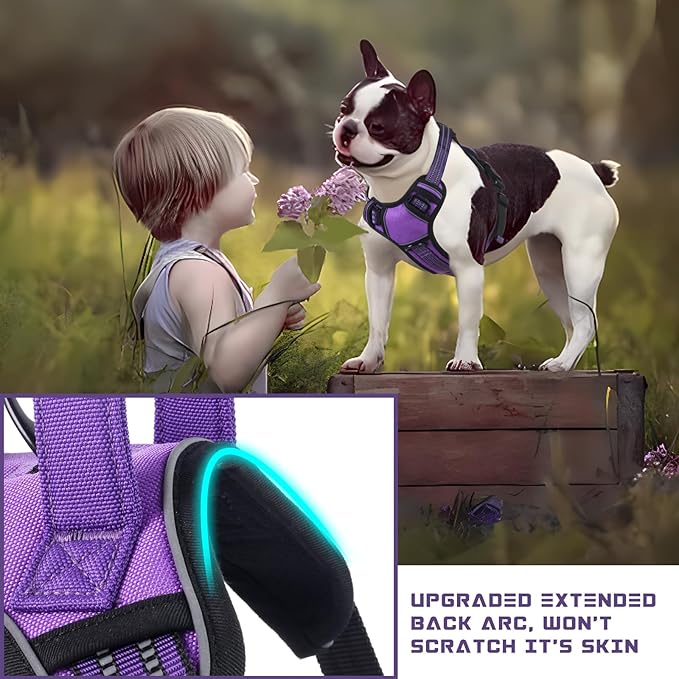 BUMBIN Dog Harness for Large Dogs, No Pull Adjustable No Choke Pet Vest with Dog Leash Fit Smart Reflective Pet Walking Harness for Training Easy Control Soft Handle Purple L