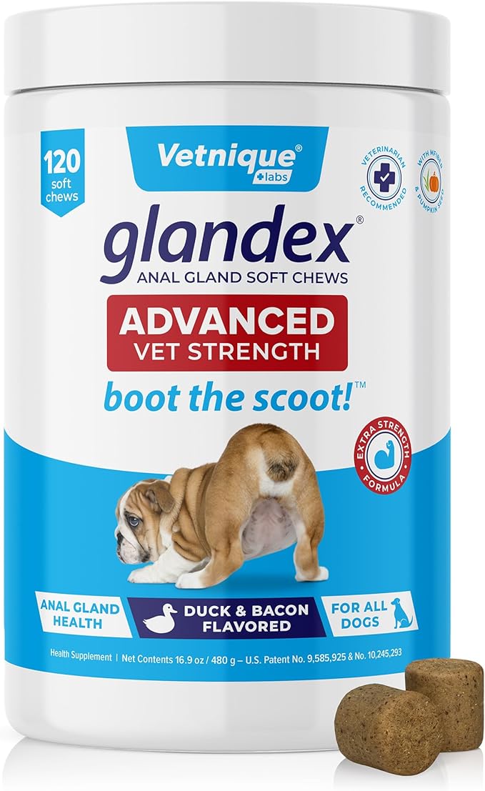 Vetnique Glandex Anal Gland Soft Chew Treats with Pumpkin for Dogs Digestive Enzymes, Probiotics Fiber Supplement for Dogs Boot The Scoot (Advanced Strength Duck/Bacon Chews (Vegetarian), 120 Ct)