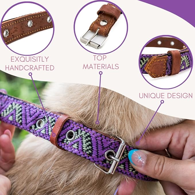Western Dog Collar – Leather Embroidered Design for Small Medium Large Dogs & Puppy Pets - Aztec & Southwest for Boy and Girl Female & Male Dogs - Collar para Perros Beaded (Small, Amethyst)