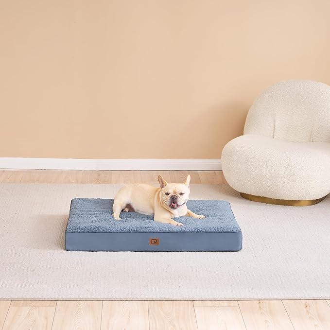 EHEYCIGA Orthopedic Medium Dog Beds for Small Dogs with Removable Washable Cover for Crate, Spa Blue, 30x20