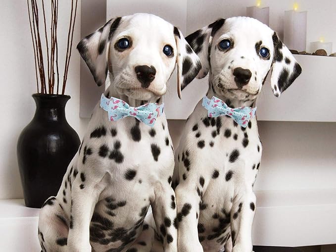 ARING PET Bowtie Dog Collar Adjustable Collars with Bow Tie for Dogs Small Medium Large