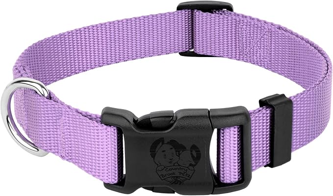 Country Brook Petz - American-Made Dog Collar for Large, Medium, and Small Dogs and Puppies - Deluxe Heavy Duty Nylon in 33 Dazzling Colors (Small, 3/4 Inch Wide, Lavender)