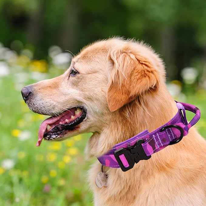 Tactical Dog Collar with Heavy Duty Metal Buckle and Control Handle for Medium Large Dogs Training(Purple Camo, Medium)