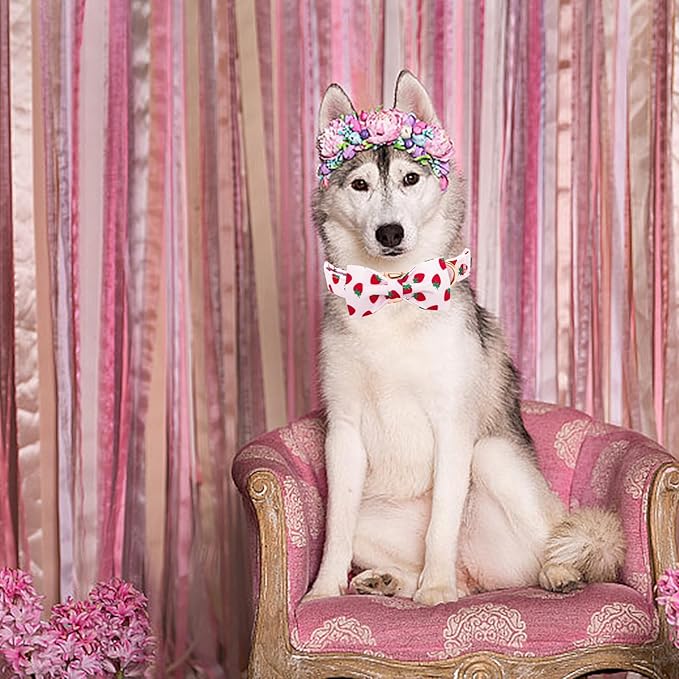 Elegant little tail Dog Collar, Strawberries Print Pet Collar Summer Dog Collar Durable Metal Buckle Dog Collars Cotton Pet Adjustable Dog Collars for X-Large Dogs