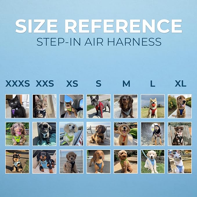 Voyager Step-In Air Dog Harness - All Weather Mesh, Reflective, No Pull Harness for Small, Medium Dogs, Cats - Secure with Hook & Loop Fastener, Buckle, Double D-Rings - Turquoise, XXXS