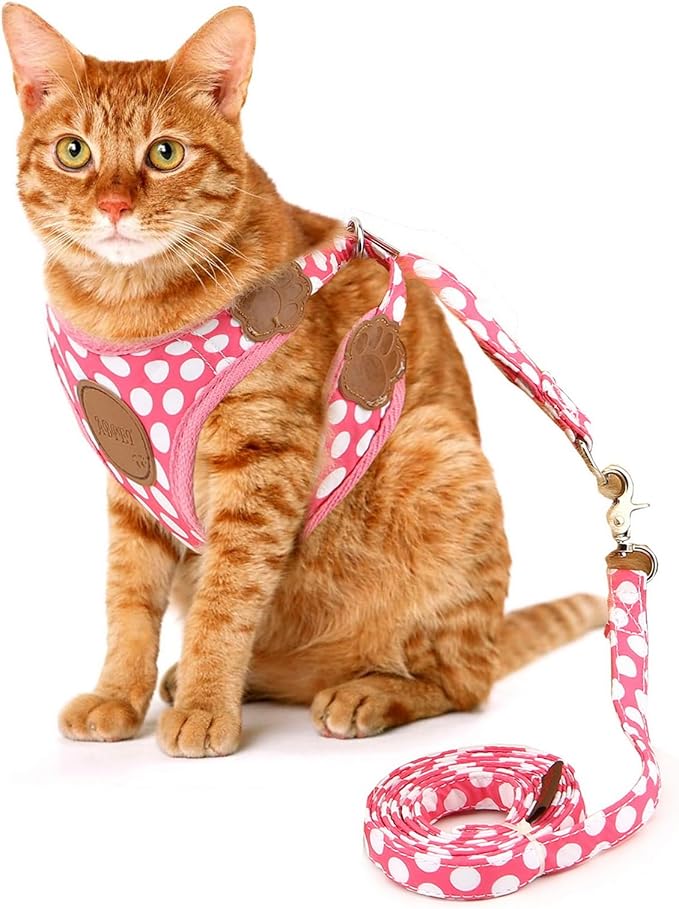 SMALLLEE_LUCKY_STORE New Soft Mesh Nylon Vest Polka Dot Pet Cat Small Medium Dog Harness Dog Leash Set Leads Pink S