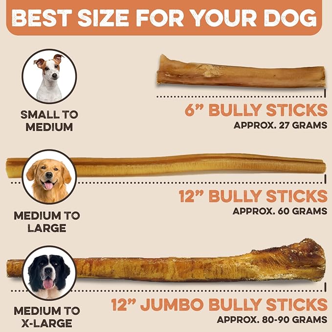 BRUTUS & BARNABY Thick Bully Sticks for Dogs – Odor Free Chews for Large, Medium & Small Breeds – Grain-Free, Rawhide-Free, Digestible Dog Treats – Grass-Fed Beef Chews for Aggressive Chewers