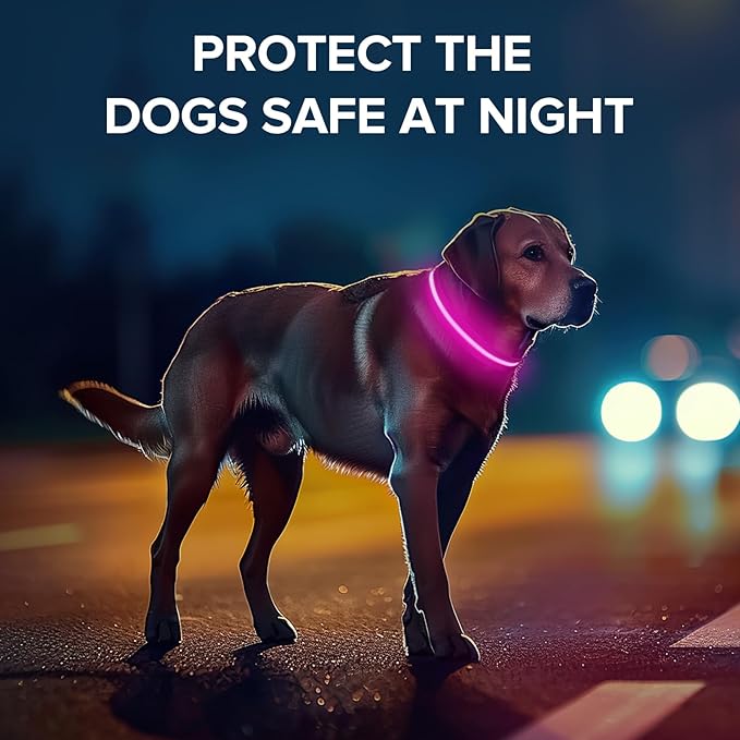Led Dog Collar for Night Walking,Rechargeable Light Up Dog Collar Led Color,Glow in The Dark Dog Collars Waterproof for Small Medium Large Dogs (Pink, Medium)