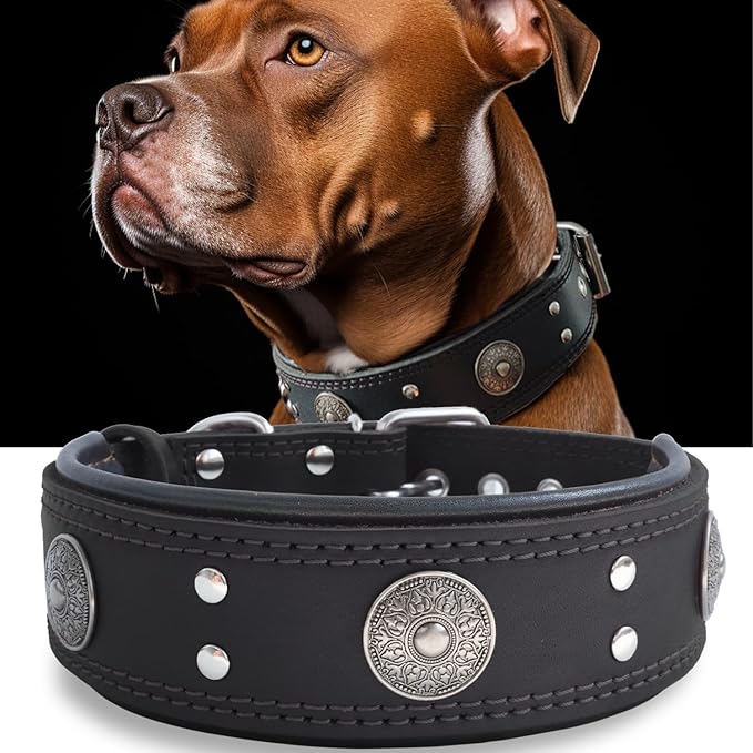 Leather Dog Collar, 2 inches Wide Heavy Duty Genuine Leather Collars, Handmade, Soft, and Luxury, Eye-catching Best Choice for Large and Medium Breed Dogs, Black 19.5-23.5 inches