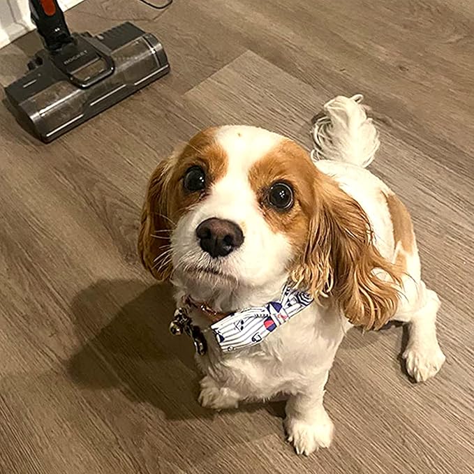 Lionheart glory Dog Collar, Dog Collar with Bow, Summer Stripe Boy Dog Bowtie Collar Cute Pet Collar Gift for X-Small Puppy and Cat