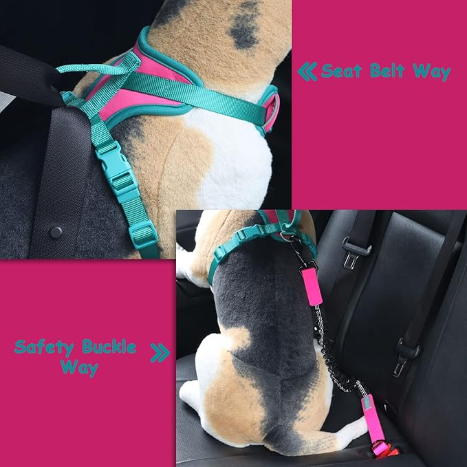 No Pull Dog Harness Adjustable Soft Padded Pet Vest with Control Handle Adorable Daily Harness for Dogs(Pink Peacock M)