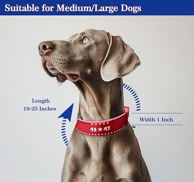 2024 American Blue Red Dog Collar, Embroidered Dog Collar, Adjustable for Small Medium Large Dogs, Congratulations.