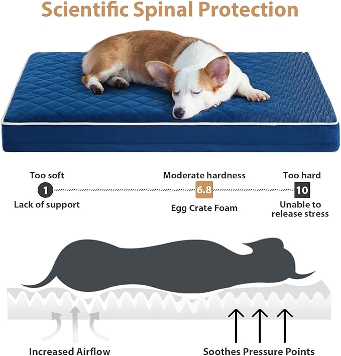 WNPETHOME Extra Large Waterproof Dog Bed with Removable Washable Cover & Anti-Slip Bottom, Multi-Needle Quilting Giant Dog Crate Bed