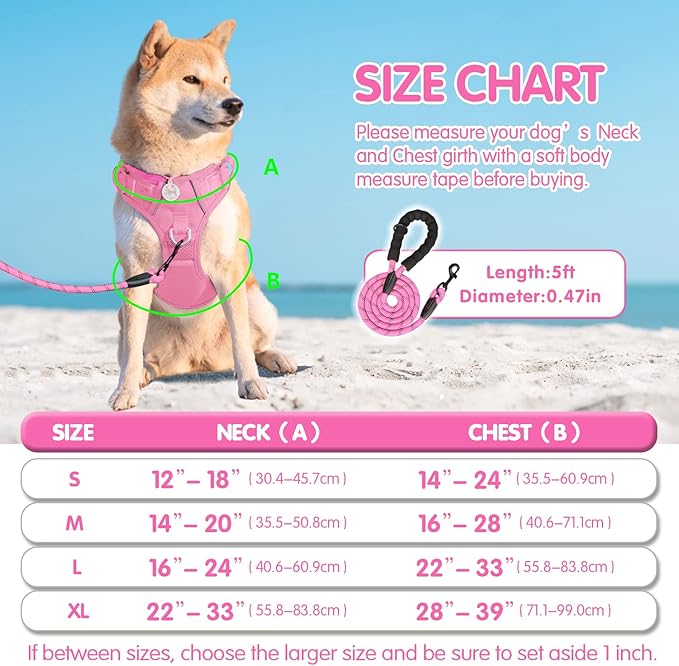 PoyPet No Pull Dog Harness and 5 Feet Leash Set, Release on Neck Reflective Adjustable Pet Vest, Front & Back 2 D-Ring and Soft Padded Pet Harness with Handle for Small to Large Dogs(Pink,S)
